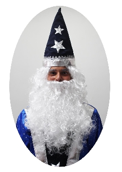 SET PARRUCCA+BARBA MAGO MERLINO 